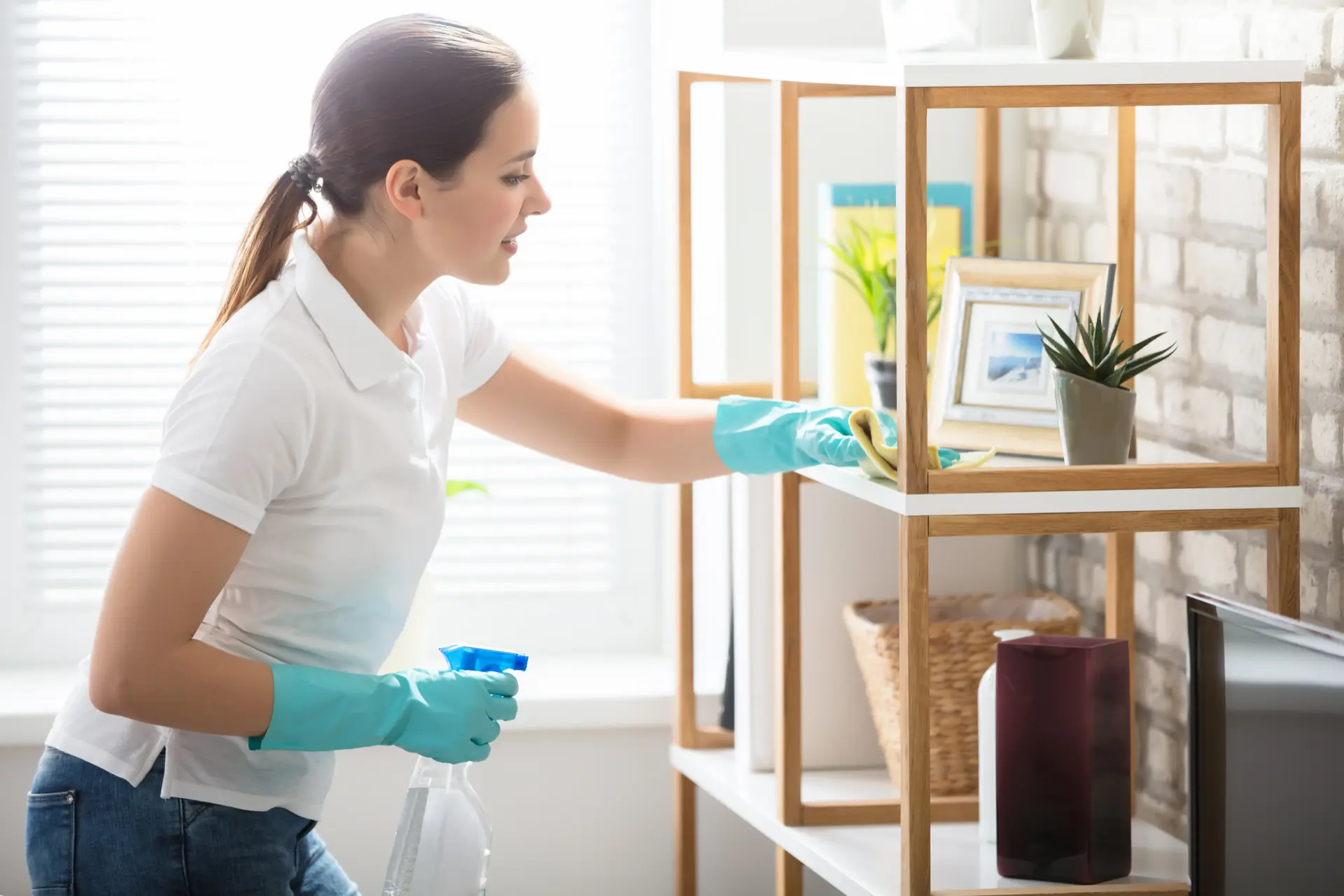Standard house cleaning in Hendersonville